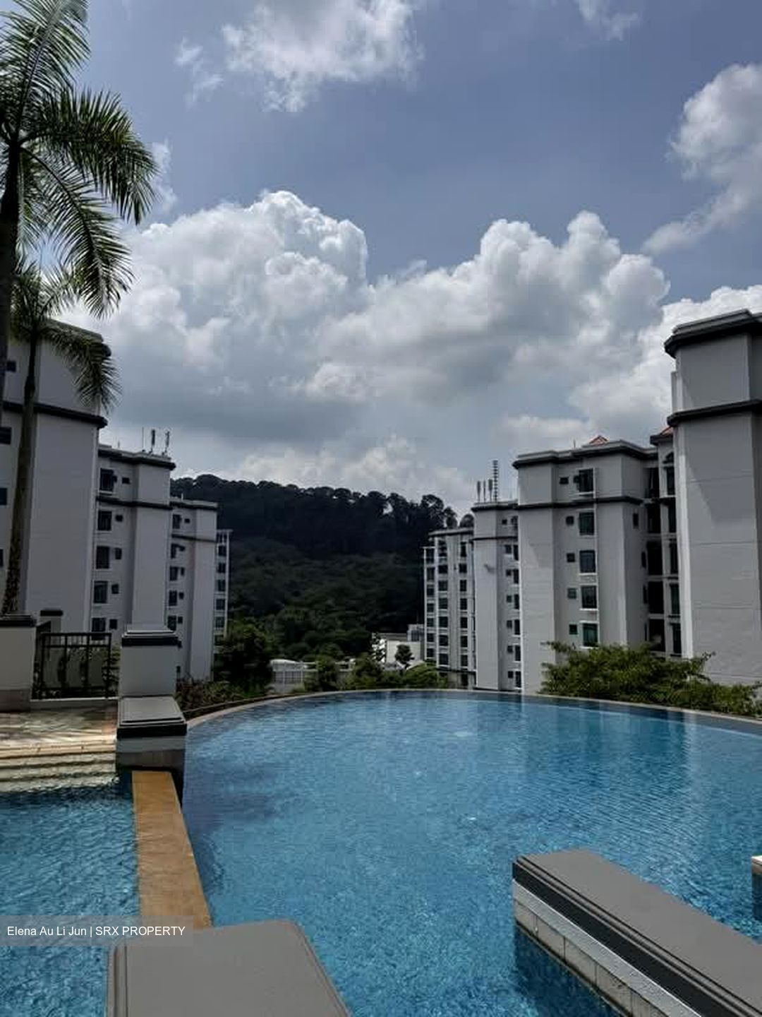 The Hillside (D21), Condominium #599909101